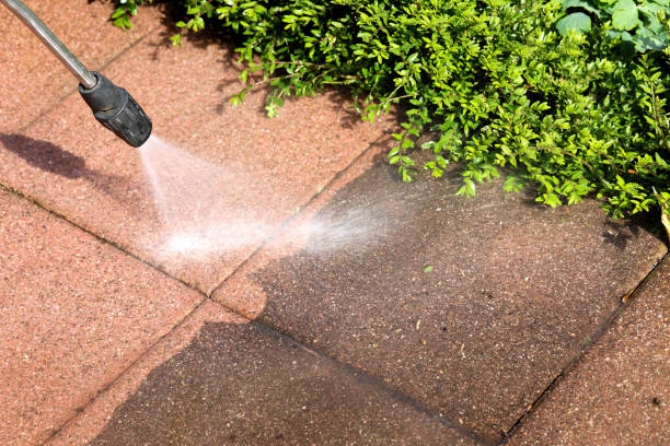 Best Pressure Washing Services Near Me  in Camp Hill, AL